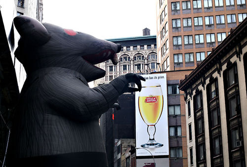 Rat_beer
